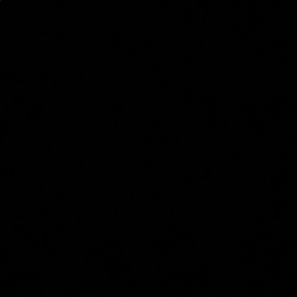 Meet your Posher, Daisy - Picture 1 of 1